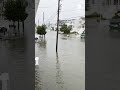 Bait and tackle shop inundated amid flooding in New Jersey