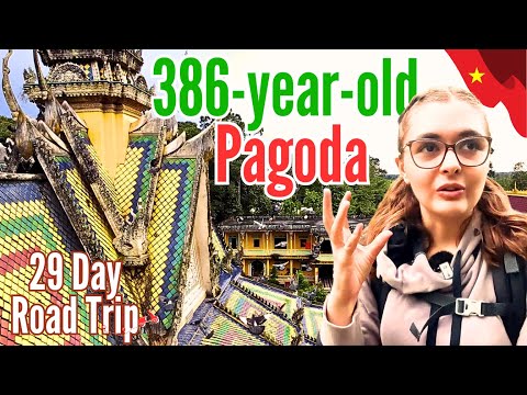 This Pagoda is a "SANCTUARY" for Thousands Of Birds in Tra Vinh 🇻🇳 Vietnam Travel Ep: 16