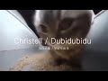 가사해석 Christell Dubidubidu Chipi Chipi Chapa Chapa Cat Meme L 크리스텔 두비두비두 치피치피차파차파 캣 밈 가사해석 Christell Dubidubidu Chipi Chipi Chapa Chapa Cat Meme L 크리스텔 두비두비두 치피치피차파차파 캣 밈