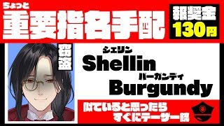 【泥棒シミュ】見かけても名探偵だから何もしないで欲しい【Thief Simulator】