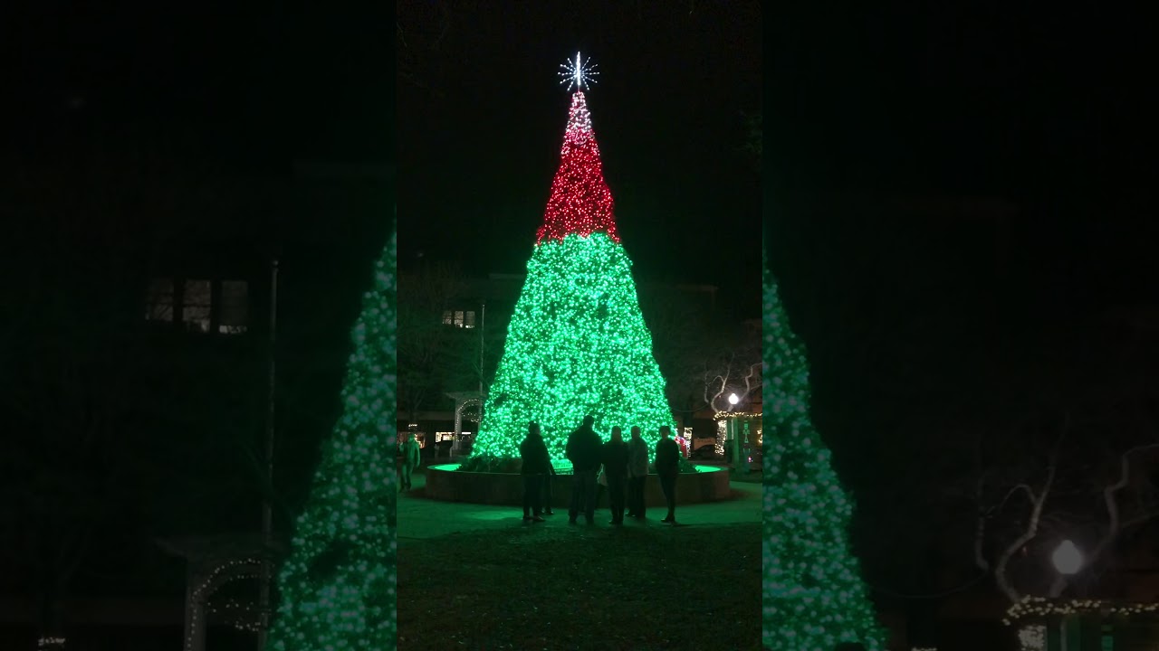 Johnstown Central Park Christmas Tree 12/30/19 YouTube