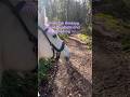 Do Horses Live in the Moment? (What I Noticed on a Calm Hack) #calmhorsesbrightminds