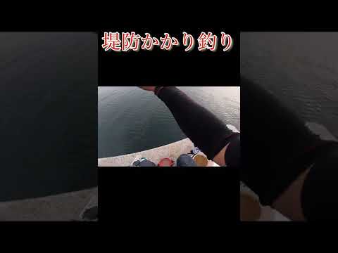 堤防かかり釣り🎣アタリの瞬間！