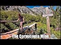 The Cornucopia: Oregon's Richest Mine, Oregon