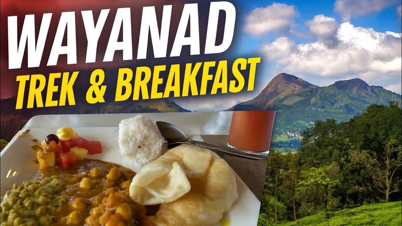 Wayanad Trek Adventure + Delicious breakfast at our property #wayanadtrek #Travelvlog #couplevlog