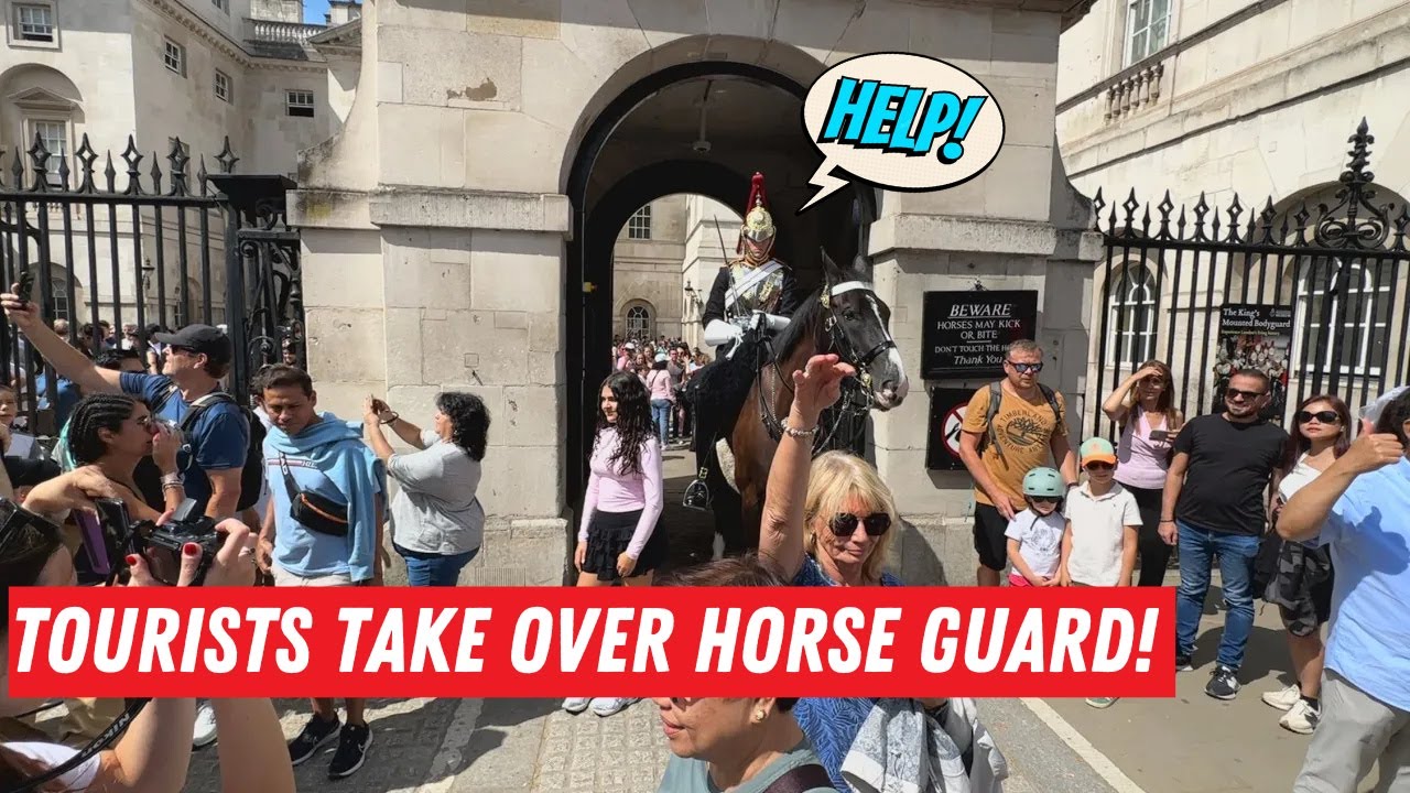Tourists STORM and Take Over Horse Guard — Boss RUSHES In to Help the Guard!