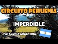 El Imperdible Circuito Pehuenia ⛰⛰☀☀, Neuquén, Patagonia Argentina