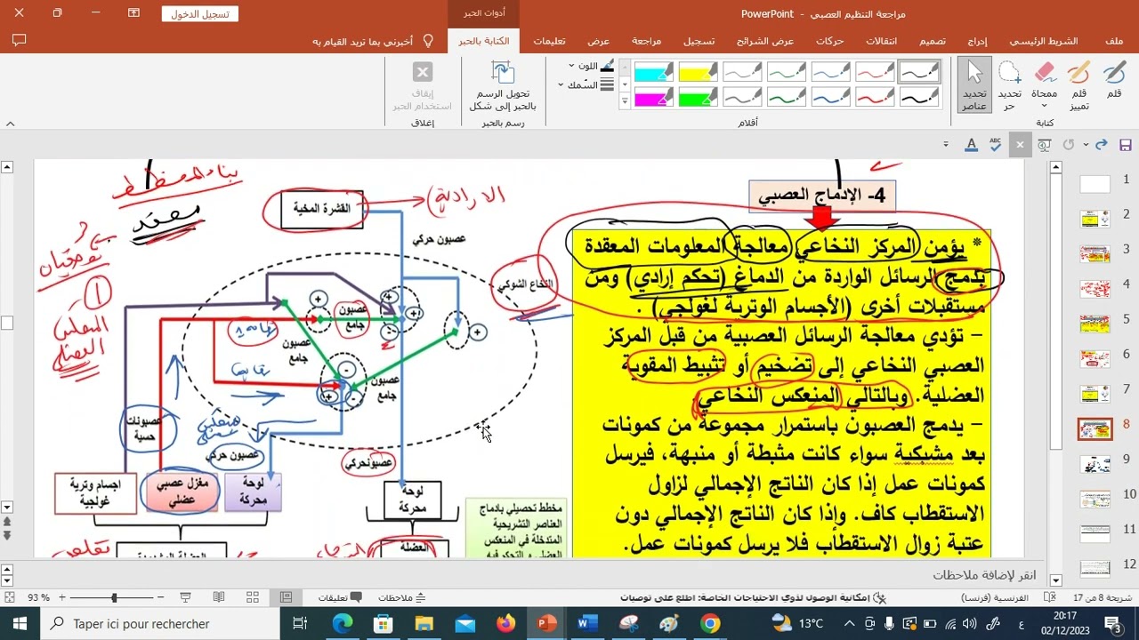 مراجعة التنظيم العصبي الحلقة 2