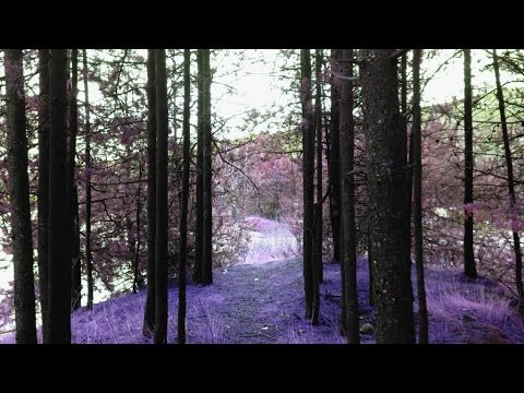 intense-nature