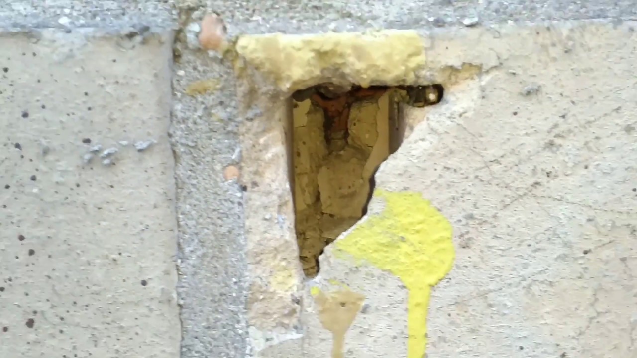 LeEco Le max 3 videocamera light