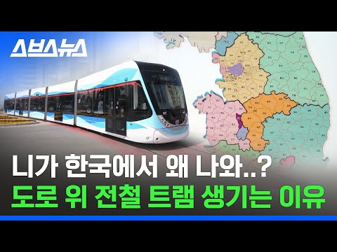 드디어 한국에도 트램이?! 대전, 부산, 울산이 트램을 사수하려는 이유 / 스브스뉴스