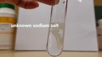 QA Theory Test For Anion