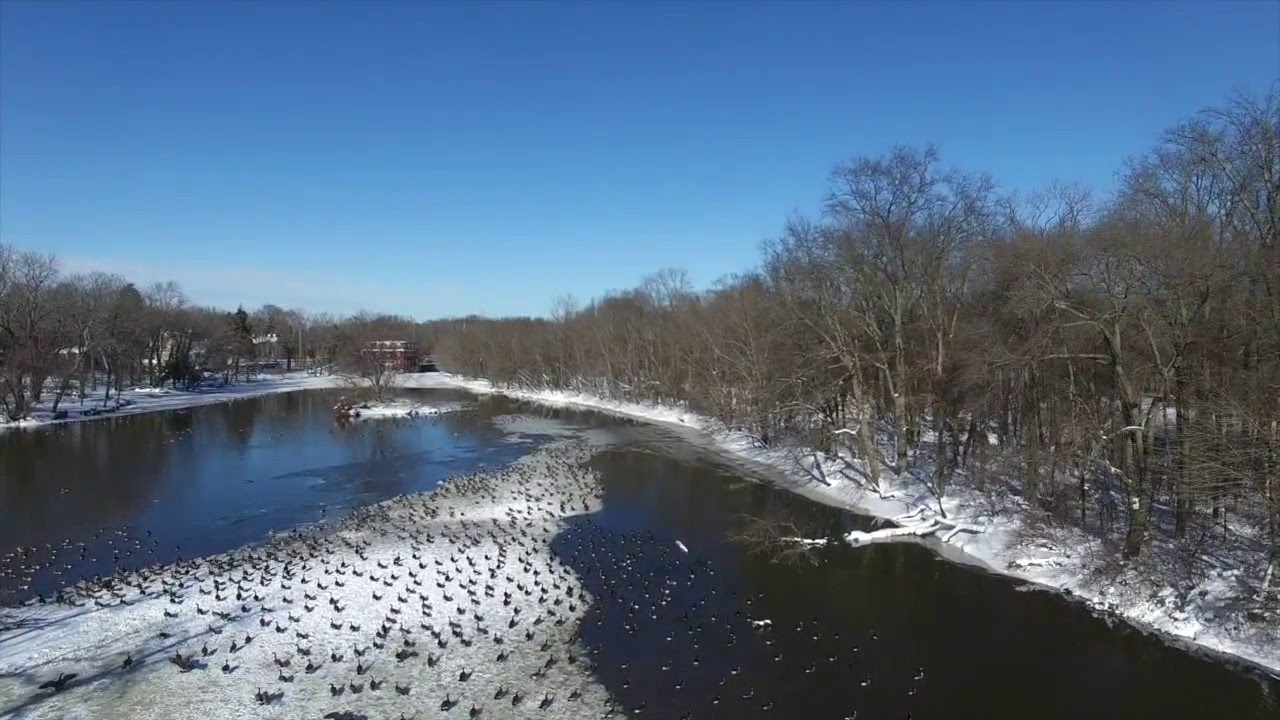 Flew over a geese's folks at Carnegie Lake Princeton NJ