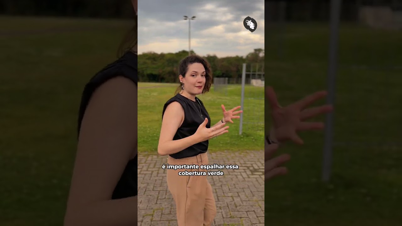 Áreas verdes e áreas habitacionais | Campo de Santana (