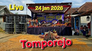 Download Lagu Live Mberot Kuda Lumping ACR Lion Boys Ds Tomprejo Singosari MP3