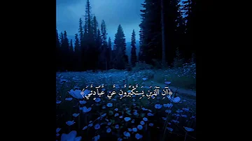 نداء السماء لك فاستمع لها اشتراك فضلا وليس امرا 