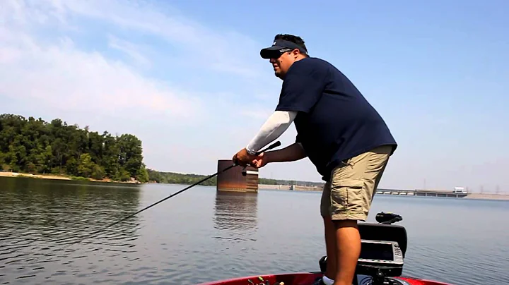 Which Lures for Fishing Fall Transition