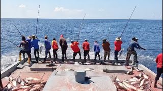 FISHING | SKIPJACK | MALDIVES by THE LIFE OF A FISHERMAN 🎣 1,845 views 3 months ago 11 minutes