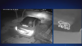 Texas DPS searching for information on mail theft suspects