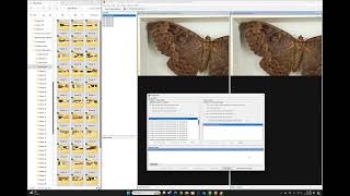 Macropod MacroBox Image Processing 4.0