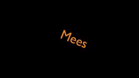 Mees - intro the best?