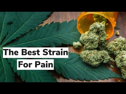 Find Your Best Strain for Pain | Discover Marijuana