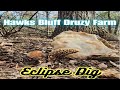 Hawks Bluff Farm Druzy Crystals, Morel Mushrooms and A Solar Eclipse