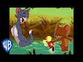 Tom & Jerry em Português | Brasil | Isso É Típico da Família | WB Kids