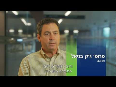 וִידֵאוֹ: סרטן הכליה (אדנוקרצינומה) בכלבים