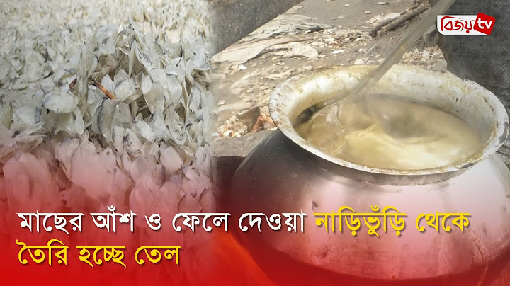 মাছের আঁশ ও ফেলে দেওয়া নাড়িভুঁড়ি থেকে তৈরি হচ্ছে তেল | Bijoy TV