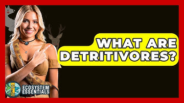 What Are Detritivores? - Ecosystem Essentials
