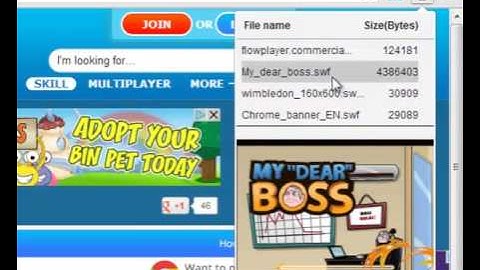 Get Flash files (swf) with google chrome.