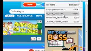 Get Flash files (swf) with google chrome.
