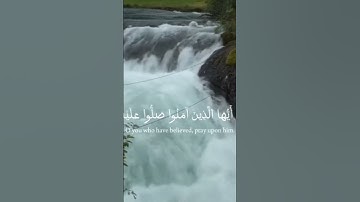 ما تيسر من سوره الكهف بصوت القارئ الفلسطيني صالح الجعفراوي رحمه الله #hashtag #quran #status #فلسطين