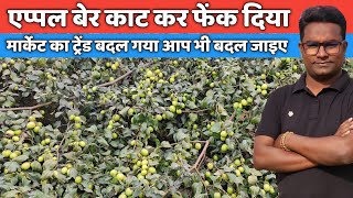 एपपल बर कय कट कर फकन पड Apple Ber Ki Kheti Thai Apple Ber Farming Smart Kisan
