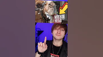 ЧТО ТАКОЕ ВОТ РТУ ВЕРБЛЮДА?