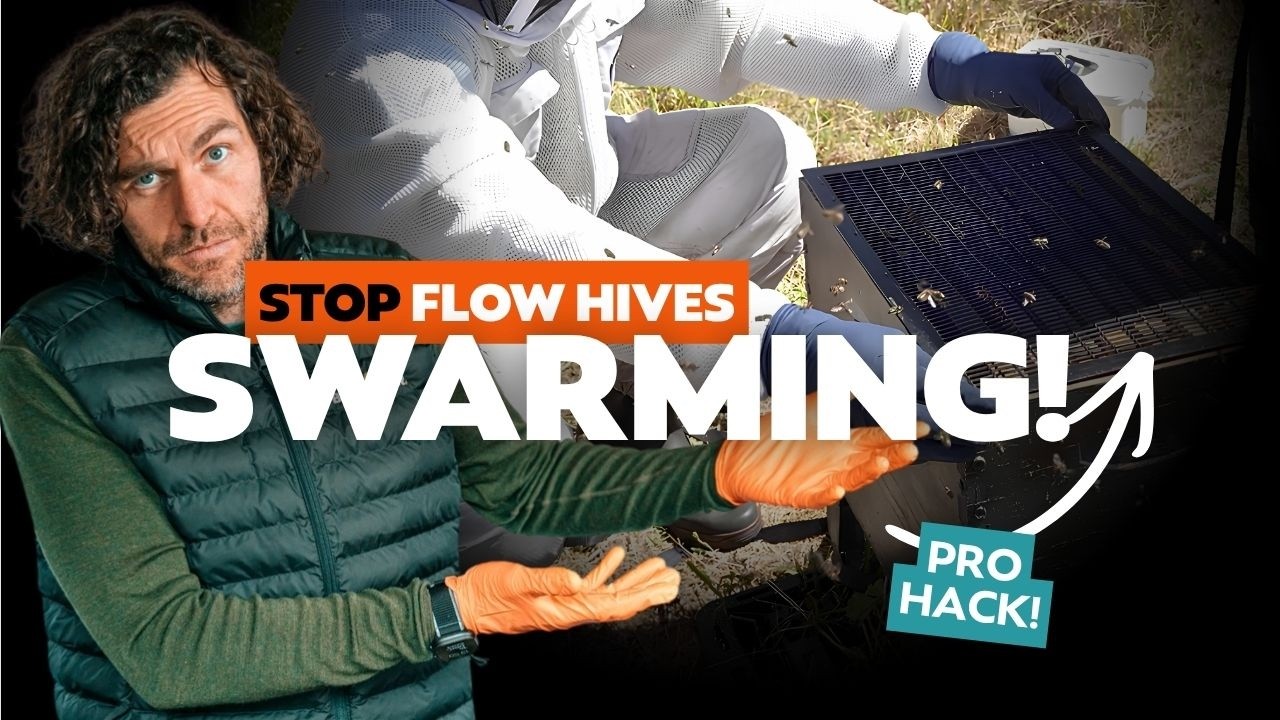 How To Stop Bees Swarming In Flow Hives YouTube How to stop bees swarming in flow hives youtube