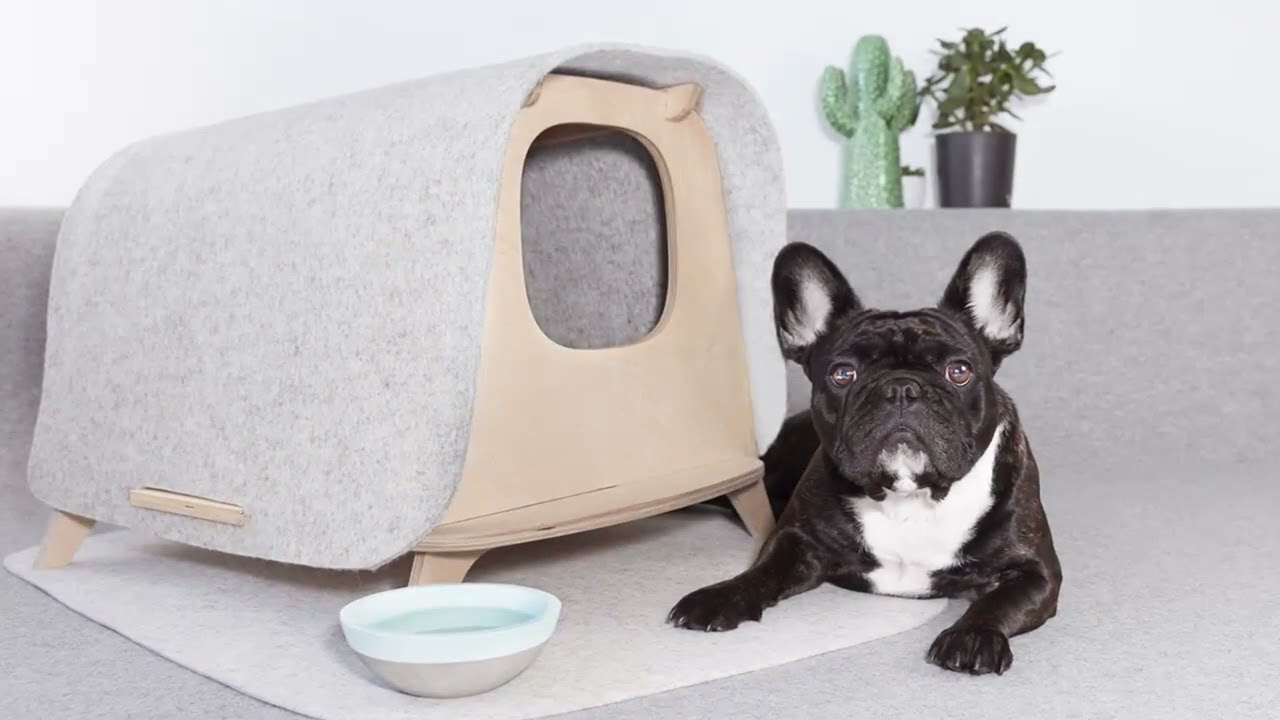 Our Favorite Pieces of Pet-Friendly Furniture