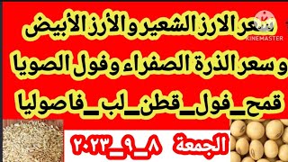 سعر المحاصيل الزراعية اليوم / سعر القمح  الفول الذرة الصفراء وفول الصويا والبرسيم والقطن والفاصوليا