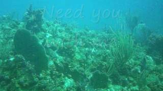 Download Lagu How Do I Live MP3