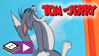 Tom & Jerry, Cat Suit