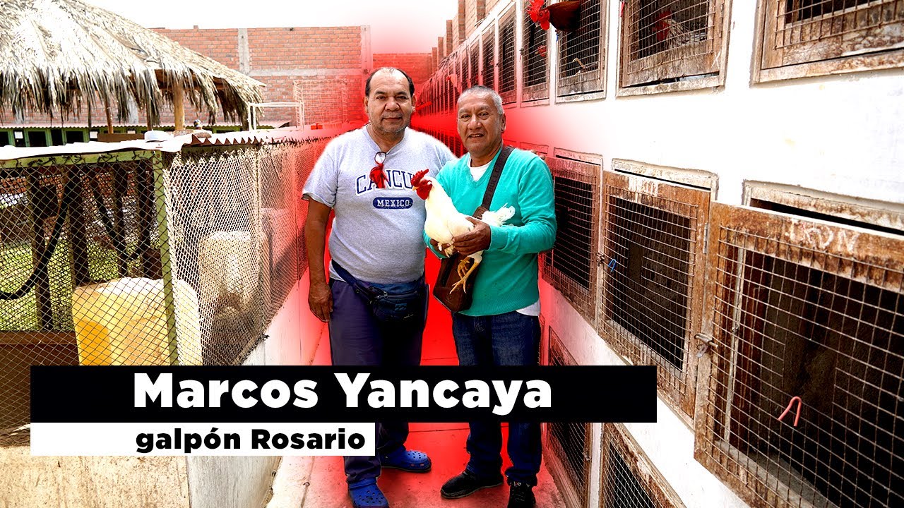 Entrevista con Marcos Yancaya galpón Rosario - Galpon Saga