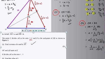 Vectors - Collinear Vectors problem 2