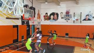 Phenomenal wolves vs Bklyn ballers 