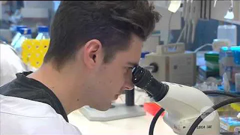 Mapping the mutations