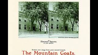 02 ◦ The Mountain Goats - Baboon (Demo Length Version)