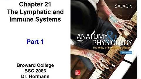 (BC BSC 2086) Chapter 21 The Lymphatic and Immune Systems Part 1