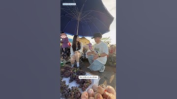 anh cần thủ ra chợ xin tiền em bán hoa quả mang đi câu cá câu được cá thì mang lại bán chia đôi tiền