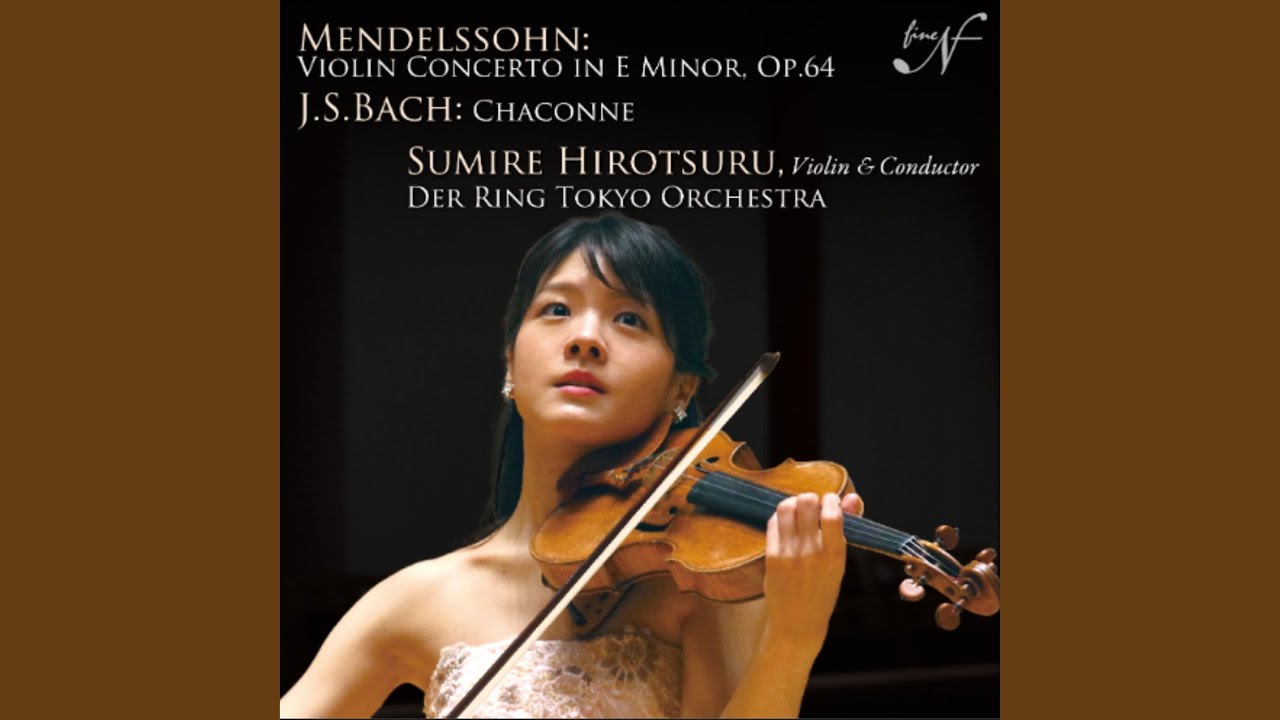 バイオリン ゲルドマローン Gerd Mallon Anno 1998 4/4 ゲルド・マローン - 弦楽器（バイオリン・ビオラ・チェロ） - 本体