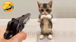 New Funny Animals 😂 Funniest Cats and Dogs Videos 😺🐶 #51
